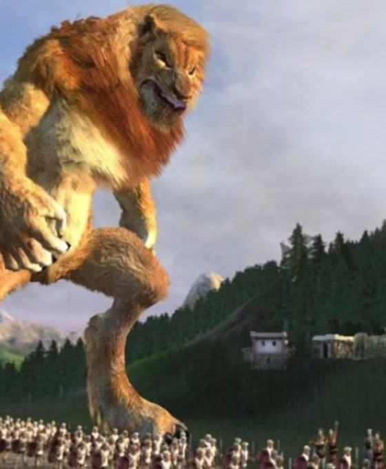 Black and white igra