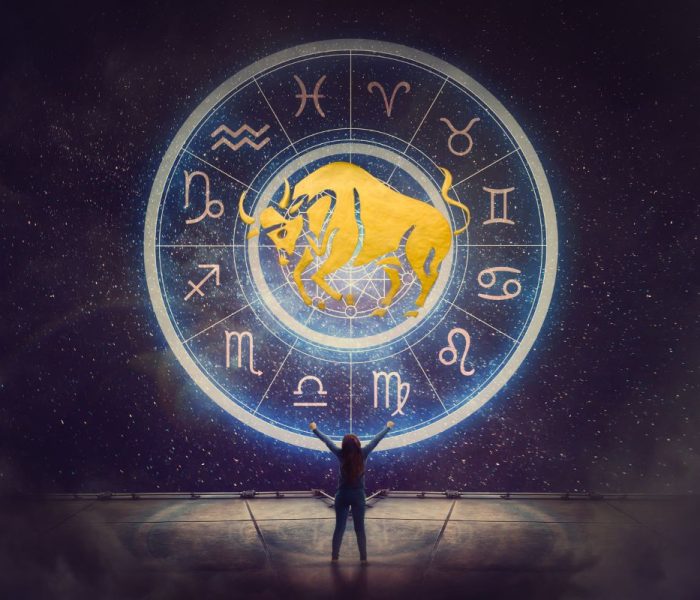 gejmerski horoskop bik