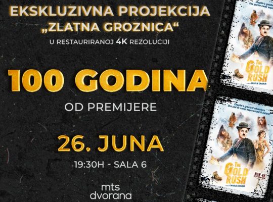 Ylatna groynica 100 godina