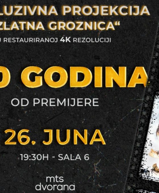 Ylatna groynica 100 godina