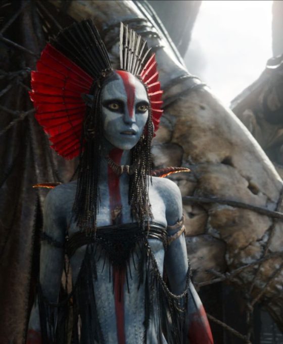 Avatar Vatra i pepeo