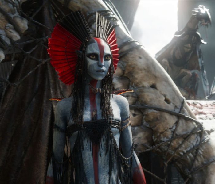 Avatar Vatra i pepeo