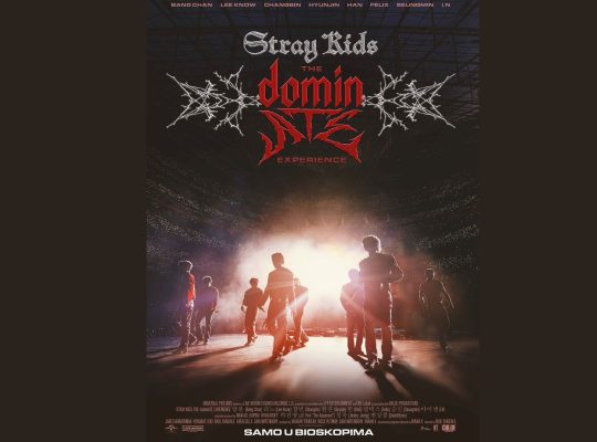 Stray Kids The Dominate Experience