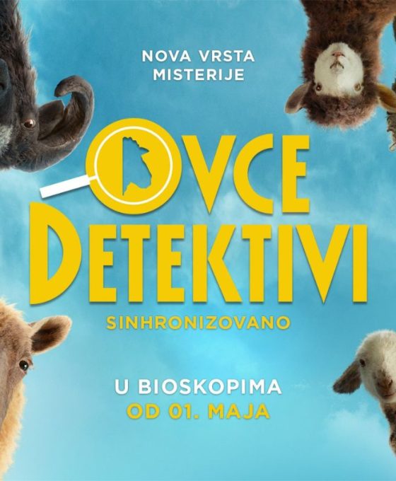 ovce detektivi