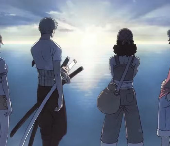 THE ONE PIECE remake