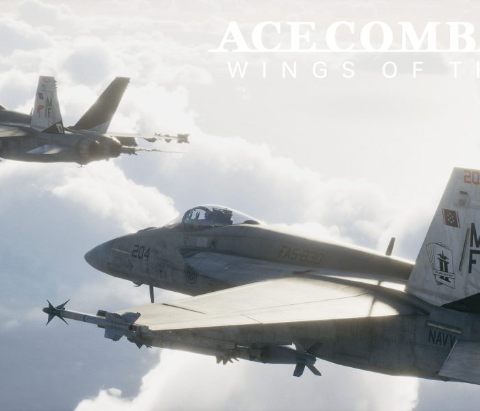 Ace Combat 8 Wings Of Theve